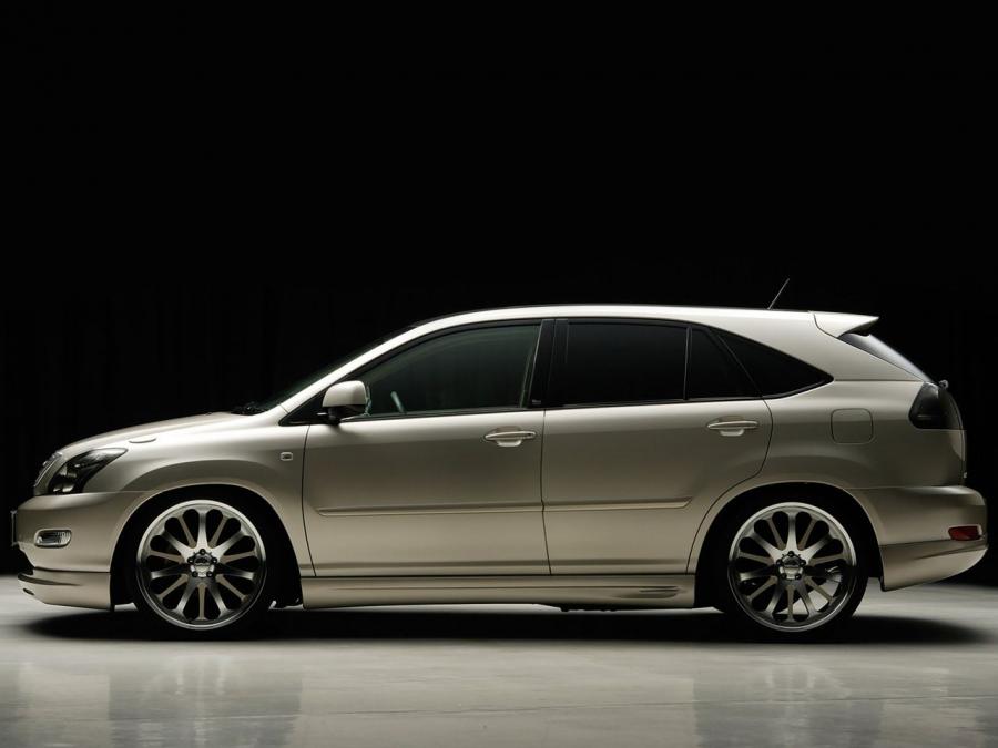  Lexus RX330 by Wald 2003 года  (фото 8 из 8)